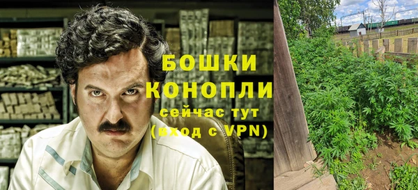 гидра Михайловка