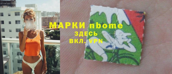 гидра Михайловка