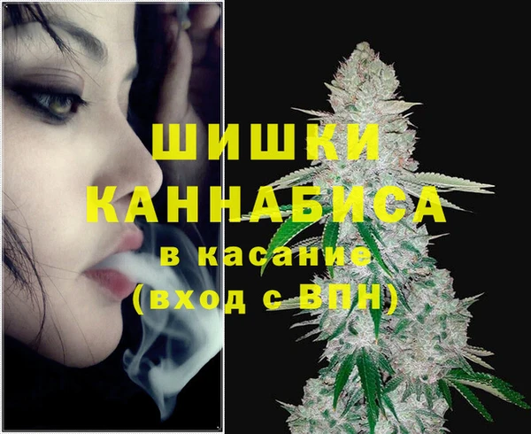 гидра Михайловка