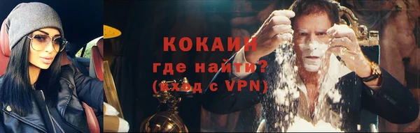 гидра Михайловка