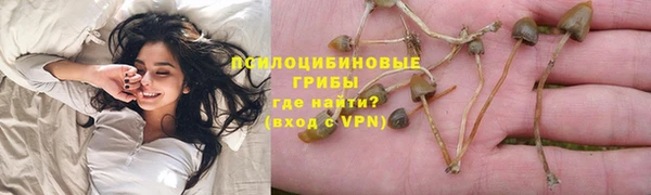 не бодяженный Михайлов