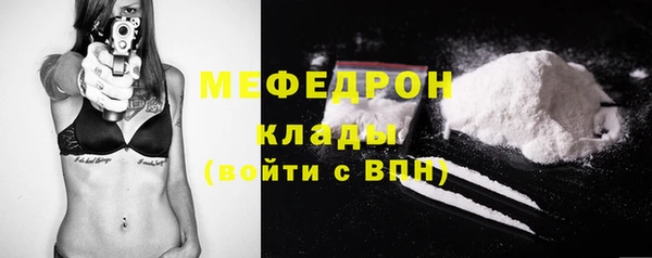 гидра Михайловка