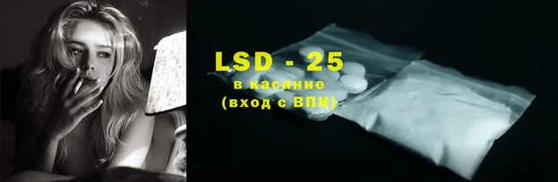 гидра Михайловка