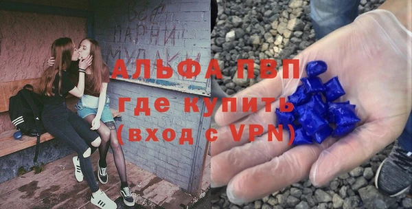 дживик Гатчина