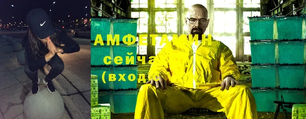 гидра Михайловка