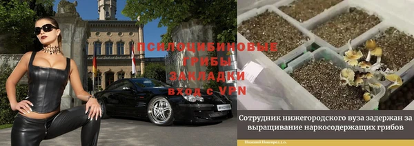 не бодяженный Михайлов