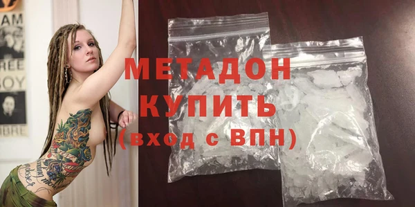 гидра Михайловка