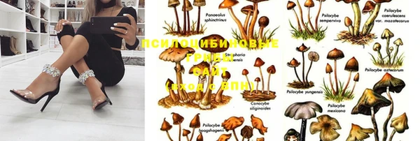 каннабис Гвардейск