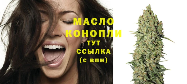 гидра Михайловка