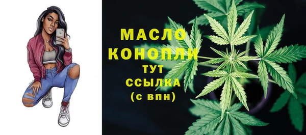 гидра Михайловка